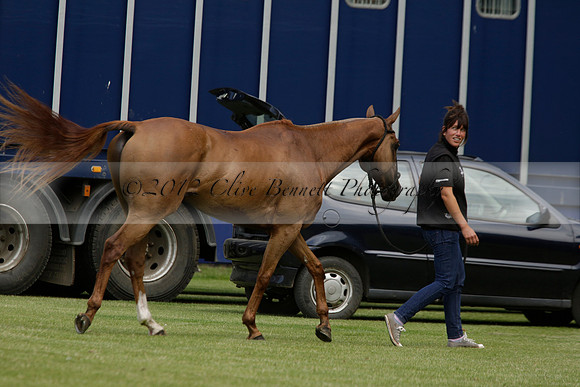 Dubai v La Bamba de Areco in a Veuve Clicquot Gold Cup Polo Match 2013.07.04