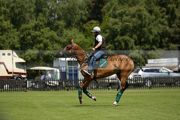 Black Bears v Salkeld in a Cartier Queens Cup polo match 2013.06.05