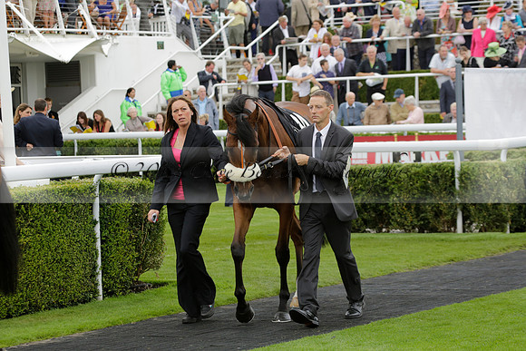 Race 6 Goodwood The British Stallion Studs Turf Club E.B.F. Fillies Stakes. 20130731. Race winner Ribbons owner Elite Racing Club