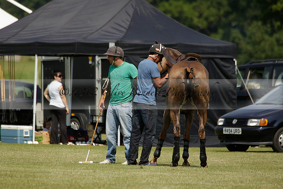 Zacara v Les Lions in a Veuve Clicquot Gold Cup Polo Match 2013.07.06