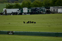 Harilela v Jaeger Le Coultre in a Dollar Cup Polo match 2013.05.24
