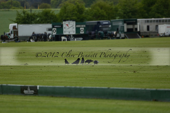 Harilela v Jaeger Le Coultre in a Dollar Cup Polo match 2013.05.24