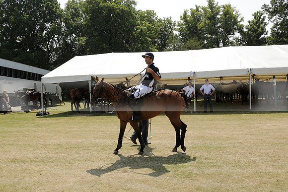 Zacara v Talandracas in a Veuve Clicquot Gold Cup Polo Match 2013.07.18