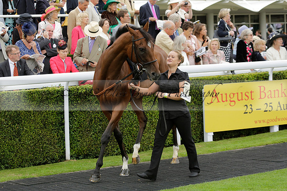 Race 6 Goodwood The British Stallion Studs Turf Club E.B.F. Fillies Stakes. 20130731. Race winner Ribbons owner Elite Racing Club