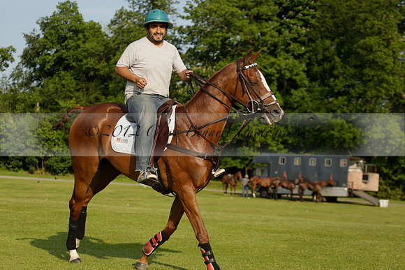 Shoreline v Cowdray Vikings in a Easebourne Cup Semi-final Polo match 2013.06.07
