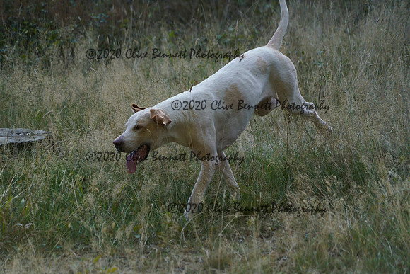 _CAB7941