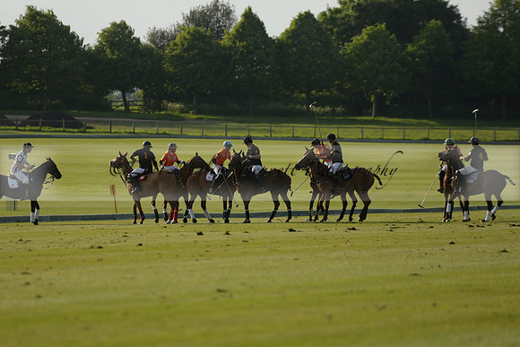 Shoreline v Cowdray Vikings in a Easebourne Cup Semi-final Polo match 2013.06.07