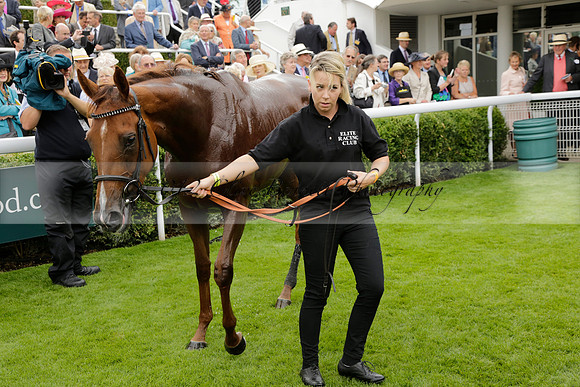 Race 6 Goodwood The British Stallion Studs Turf Club E.B.F. Fillies Stakes. 20130731. Race winner Ribbons owner Elite Racing Club