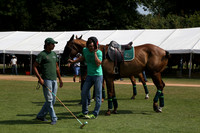 Zacara v Dubai in the Veuve Clicquot Gold Cup Polo Final Match 2013.07.21