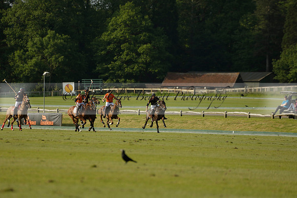 Shoreline v Cowdray Vikings in a Easebourne Cup Semi-final Polo match 2013.06.07