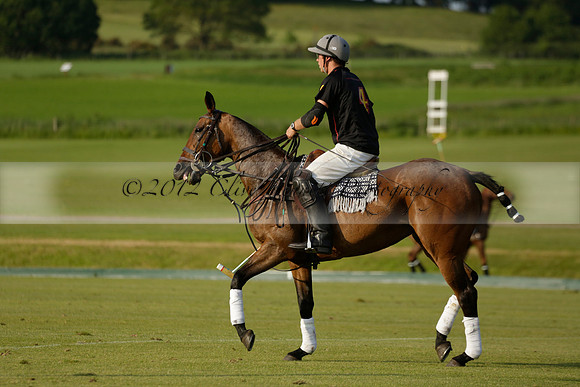 Shoreline v Cowdray Vikings in a Easebourne Cup Semi-final Polo match 2013.06.07