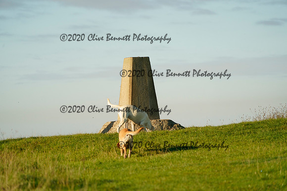 _CAB4177
