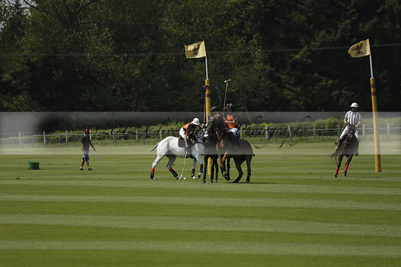 Four Quarters Orange v Montana in a Cicero Cup Polo match 2013.06.06