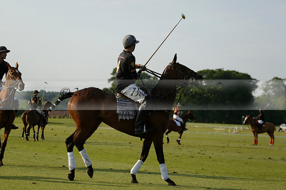 Shoreline v Cowdray Vikings in a Easebourne Cup Semi-final Polo match 2013.06.07