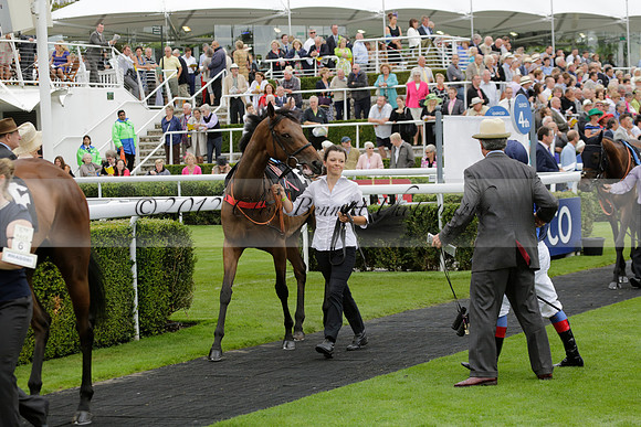 Race 6 Goodwood The British Stallion Studs Turf Club E.B.F. Fillies Stakes. 20130731. Race winner Ribbons owner Elite Racing Club