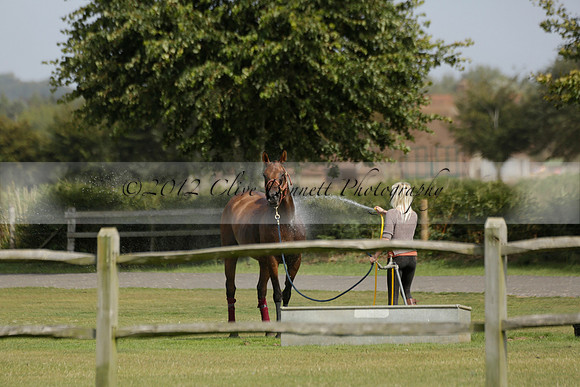 Maiz Dulce (green) v River (blue) in a Uber Polo Midsummer 12 goal polo match on Wednesday 21 August 2013 at Cowdray park Polo Club on Ambersham 2.  www.polopictures.co.uk