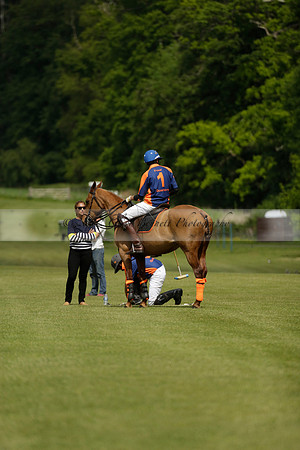 Las Estrellas v Four Quarters Blue in the final of the Jubilee Cup Polo match 2013.06.02