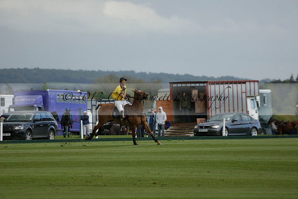 Las Estrellas v Shoreline in a May 4 Goal Spring Cup Polo match 2013.05.15