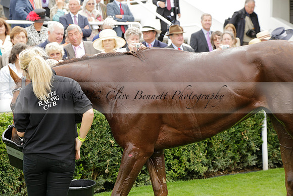 Race 6 Goodwood The British Stallion Studs Turf Club E.B.F. Fillies Stakes. 20130731. Race winner Ribbons owner Elite Racing Club