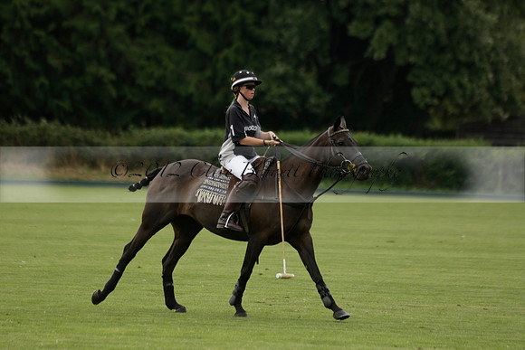 Beau Design v Boscom in an August Rother Cup 4 goal polo match at Cowdray Park Polo Club on Wednesday 07 August 2013