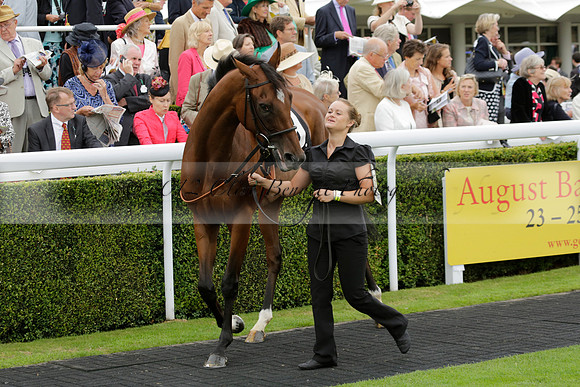 Race 6 Goodwood The British Stallion Studs Turf Club E.B.F. Fillies Stakes. 20130731. Race winner Ribbons owner Elite Racing Club