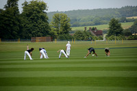 Zacara v Les Lions in a Veuve Clicquot Gold Cup Polo Match 2013.07.06