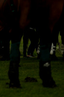 Maiz Dulce v Four Quarters Black in a Benson Cup Polo match 2013.06.19