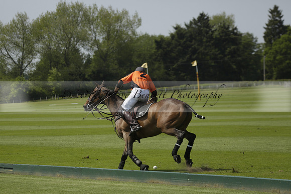 Four Quarters Orange v Montana in a Cicero Cup Polo match 2013.06.06