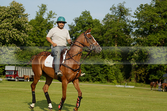 Shoreline v Cowdray Vikings in a Easebourne Cup Semi-final Polo match 2013.06.07