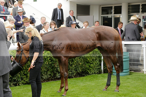 Race 6 Goodwood The British Stallion Studs Turf Club E.B.F. Fillies Stakes. 20130731. Race winner Ribbons owner Elite Racing Club