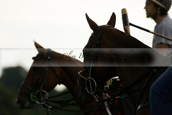 Enigma v Thai Polo in a Veuve Clicquot Gold Cup Polo Match 2013.06.25