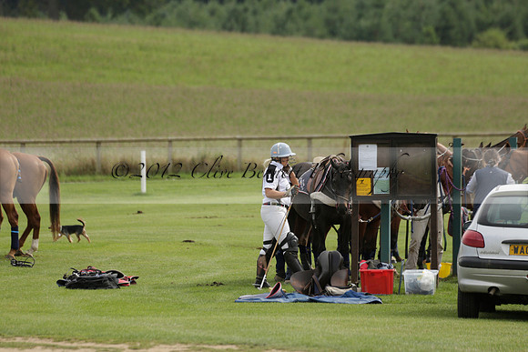 Beau Design v Boscom in an August Rother Cup 4 goal polo match at Cowdray Park Polo Club on Wednesday 07 August 2013