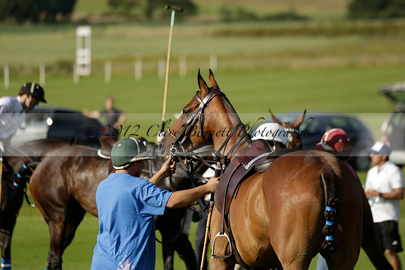 El Remanso v Emlor in a Veuve Clicquot Gold Cup Polo Match 2013.06.30