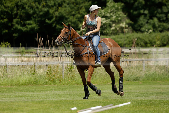 Maiz Dulce v Emlor in a Barrett Cup Polo match 2013.06.30