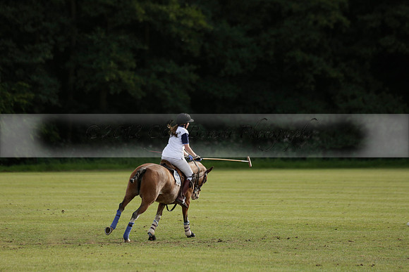 Thumos v Putney Architects in the -4 Goal Final at The Pro-Am City Polo Championships on Sunday 1 September 2013 at Ascot Park Polo Club. www.polopictures.co.uk