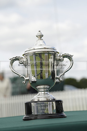 Las Estrellas v Four Quarters Blue in the final of the Jubilee Cup Polo match 2013.06.02