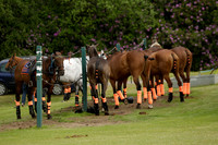 Enigma v Thai Polo in a Veuve Clicquot Gold Cup Polo Match 2013.06.25