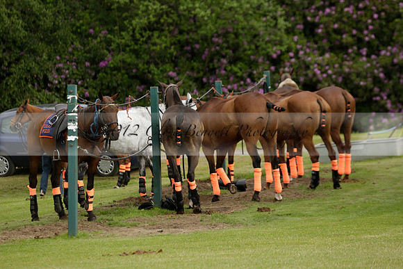 Enigma v Thai Polo in a Veuve Clicquot Gold Cup Polo Match 2013.06.25