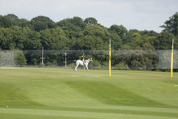 Pandas (white) v Home Farm (navy) in a Park House West Sussex Cup Polo match on Brooksfield at Cowdray Park Polo Club on Friday 30 August 2013. 2013.08.30 www.polopictures.co.uk