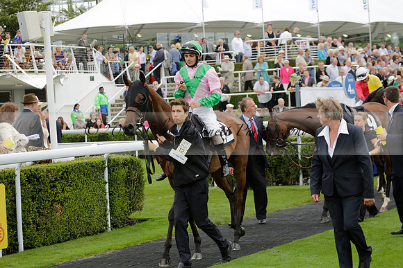 Race 6 Goodwood The British Stallion Studs Turf Club E.B.F. Fillies Stakes. 20130731. Race winner Ribbons owner Elite Racing Club