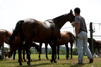 Lucchese v Enigma in a Veuve Clicquot Gold Cup Polo Match 2013.07.14