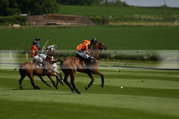 Four Quarters Orange v Montana in a Cicero Cup Polo match 2013.06.06