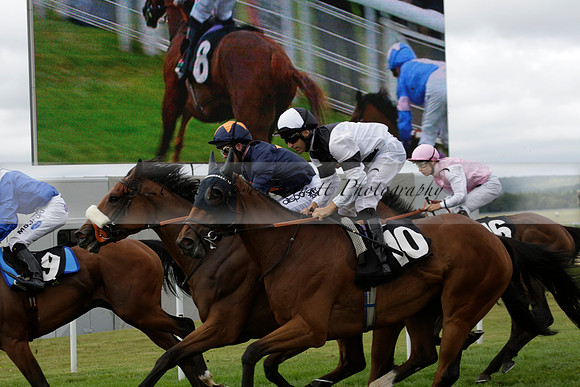 Race 6 Goodwood The British Stallion Studs Turf Club E.B.F. Fillies Stakes. 20130731. Race winner Ribbons owner Elite Racing Club