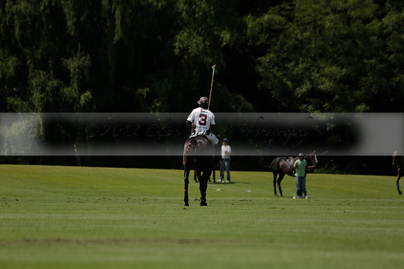 UAE Polo v El Remanso in a Veuve Clicquot Gold Cup Polo Match 2013.07.05