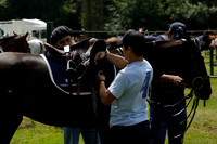 Twelve Oaks v HB Polo in a Veuve Clicquot Gold Cup Polo Match 2013.06.30