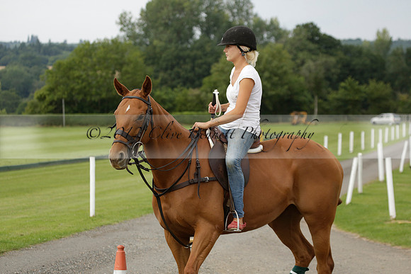 Beau Design v Boscom in an August Rother Cup 4 goal polo match at Cowdray Park Polo Club on Wednesday 07 August 2013