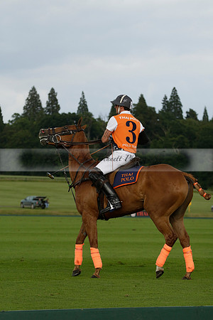 Enigma v Thai Polo in a Veuve Clicquot Gold Cup Polo Match 2013.06.25