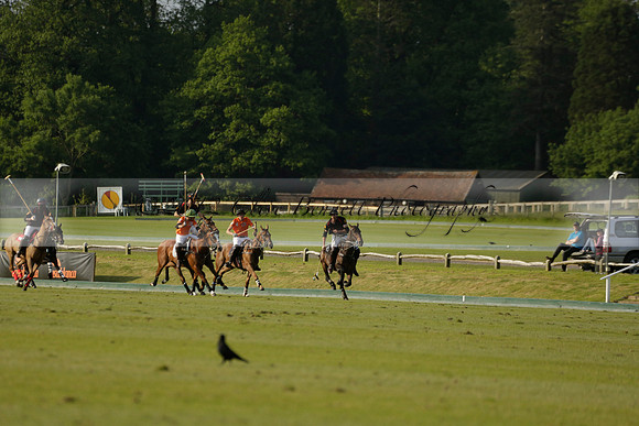 Shoreline v Cowdray Vikings in a Easebourne Cup Semi-final Polo match 2013.06.07
