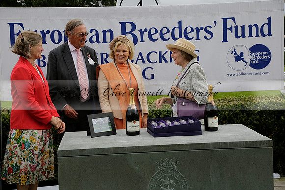 Race 6 Goodwood The British Stallion Studs Turf Club E.B.F. Fillies Stakes. 20130731. Race winner Ribbons owner Elite Racing Club