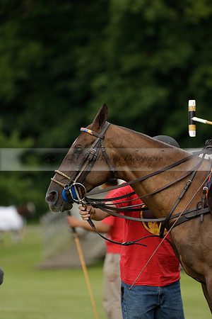 Enigma v Thai Polo in a Veuve Clicquot Gold Cup Polo Match 2013.06.25